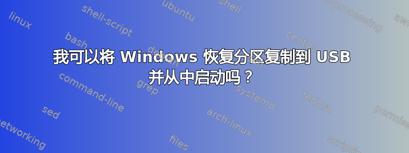 我可以将 Windows 恢复分区复制到 USB 并从中启动吗？