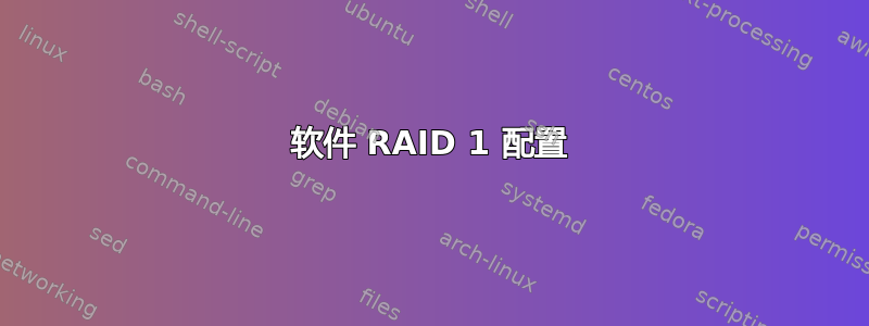 软件 RAID 1 配置