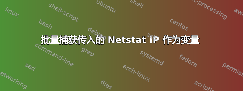 批量捕获传入的 Netstat IP 作为变量