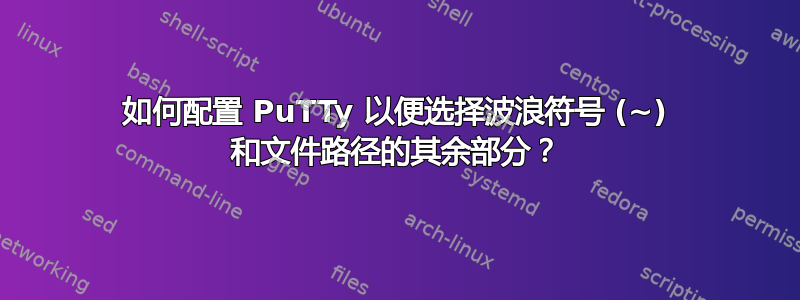 如何配置 PuTTy 以便选择波浪符号 (~) 和文件路径的其余部分？