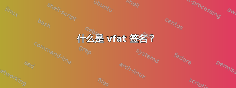 什么是 vfat 签名？