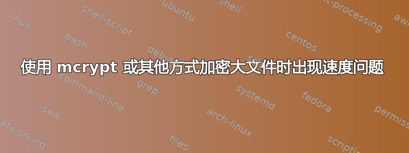 使用 mcrypt 或其他方式加密大文件时出现速度问题