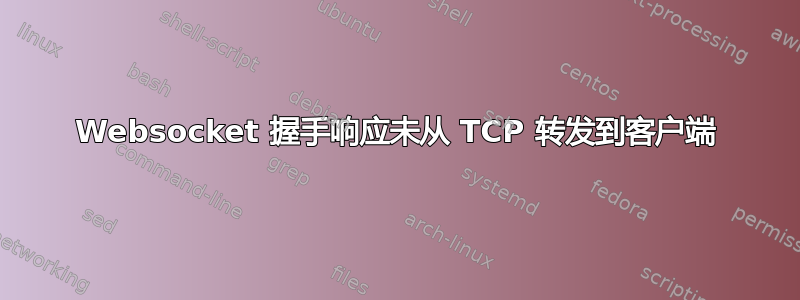 Websocket 握手响应未从 TCP 转发到客户端