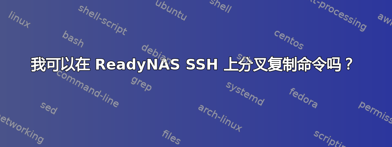 我可以在 ReadyNAS SSH 上分叉复制命令吗？