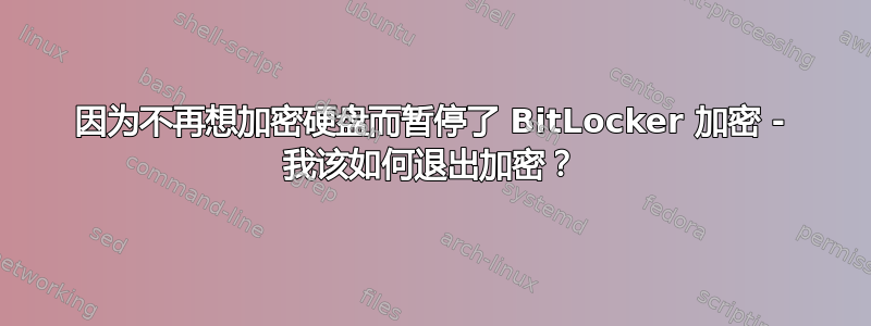 因为不再想加密硬盘而暂停了 BitLocker 加密 - 我该如何退出加密？