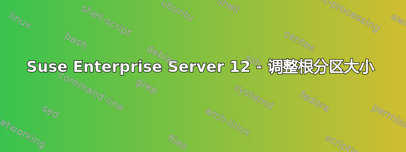 Suse Enterprise Server 12 - 调整根分区大小