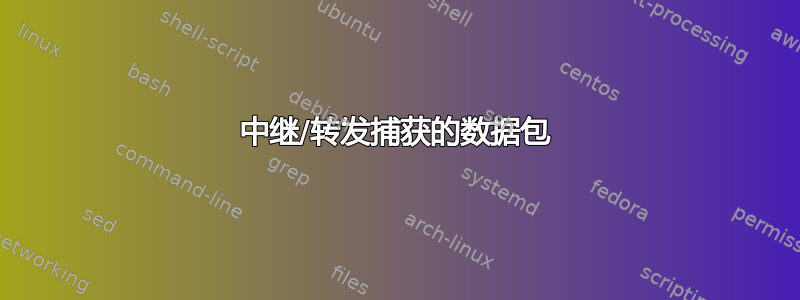 中继/转发捕获的数据包