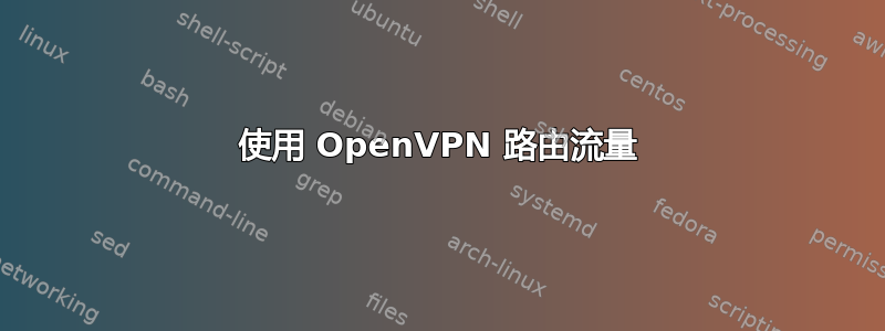 使用 OpenVPN 路由流量