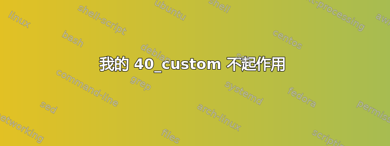 我的 40_custom 不起作用