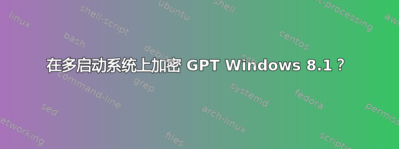 在多启动系统上加密 GPT Windows 8.1？