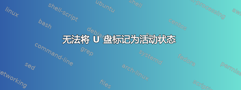 无法将 U 盘标记为活动状态