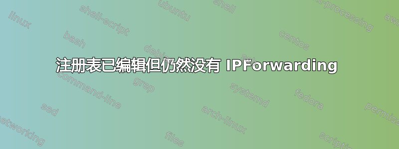 注册表已编辑但仍然没有 IPForwarding