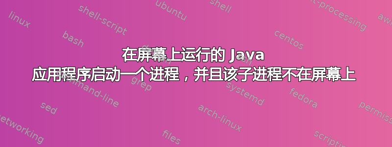 在屏幕上运行的 Java 应用程序启动一个进程，并且该子进程不在屏幕上