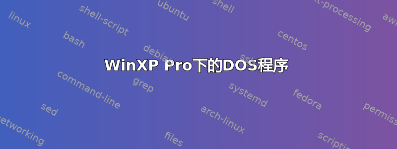 WinXP Pro下的DOS程序