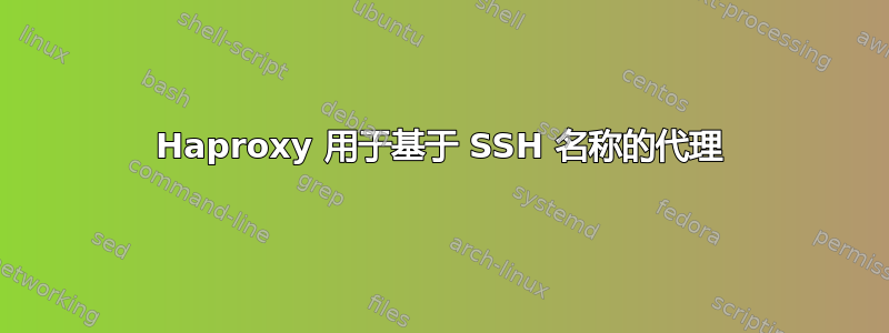 Haproxy 用于基于 SSH 名称的代理