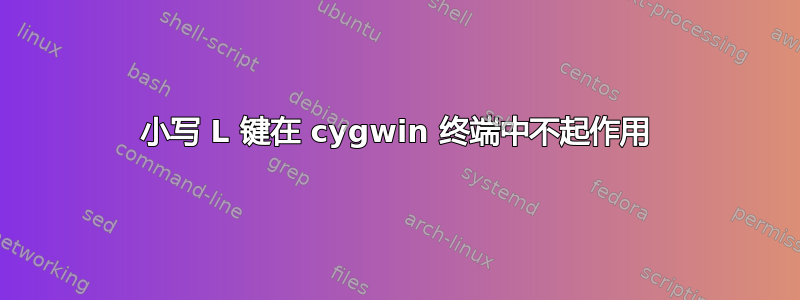 小写 L 键在 cygwin 终端中不起作用