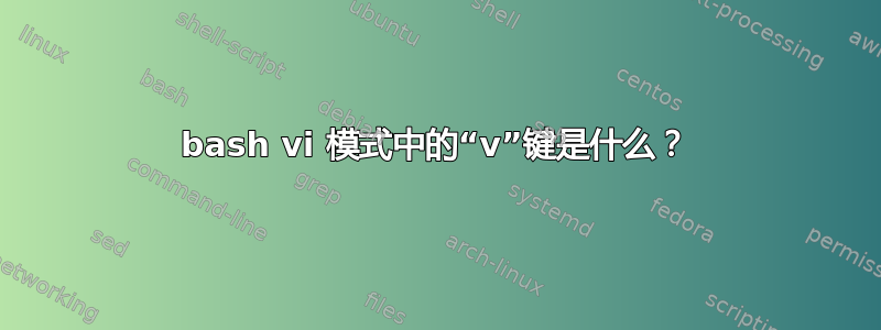 bash vi 模式中的“v”键是什么？