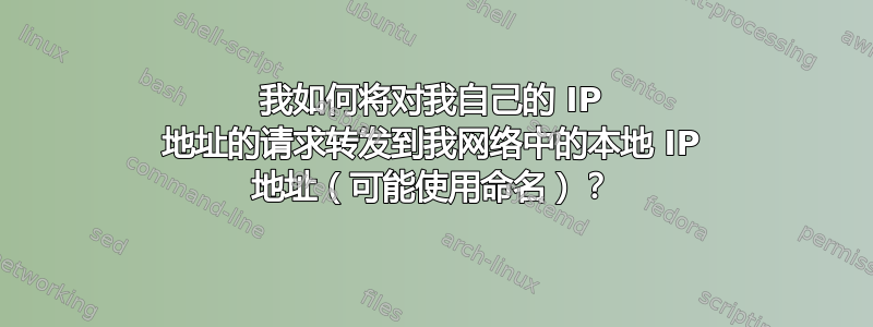 我如何将对我自己的 IP 地址的请求转发到我网络中的本地 IP 地址（可能使用命名）？