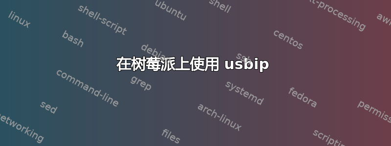 在树莓派上使用 usbip