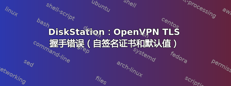 DiskStation：OpenVPN TLS 握手错误（自签名证书和默认值）