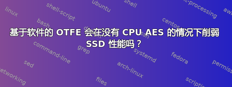 基于软件的 OTFE 会在没有 CPU AES 的情况下削弱 SSD 性能吗？