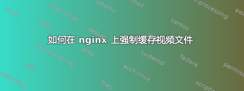 如何在 nginx 上强制缓存视频文件