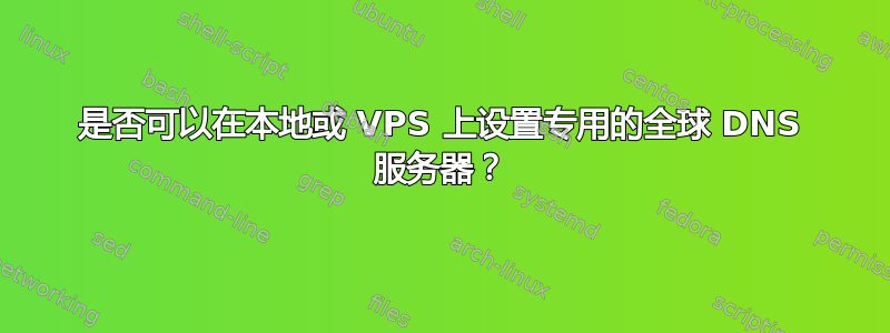 是否可以在本地或 VPS 上设置专用的全球 DNS 服务器？