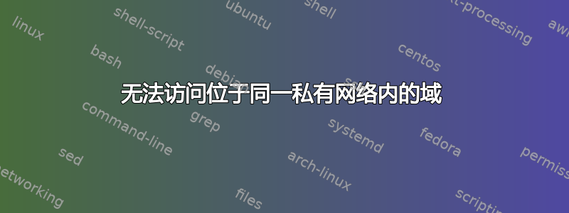 无法访问位于同一私有网络内的域