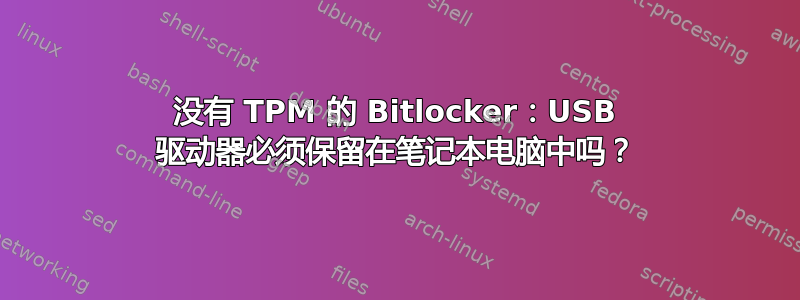 没有 TPM 的 Bitlocker：USB 驱动器必须保留在笔记本电脑中吗？