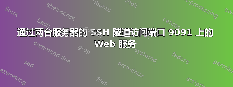 通过两台服务器的 SSH 隧道访问端口 9091 上的 Web 服务