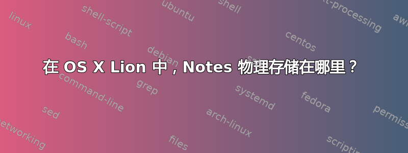 在 OS X Lion 中，Notes 物理存储在哪里？