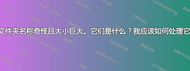 两个文件夹名称奇怪且大小巨大。它们是什么？我应该如何处理它们？