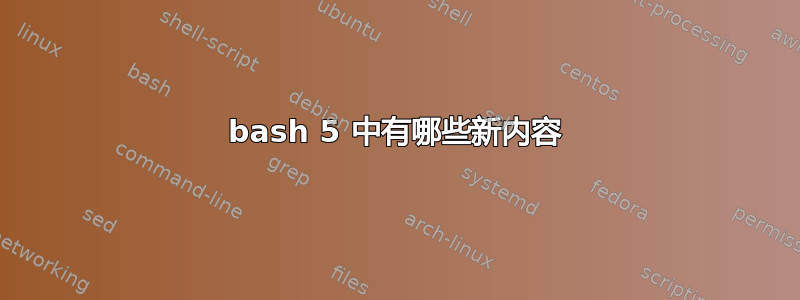 bash 5 中有哪些新内容