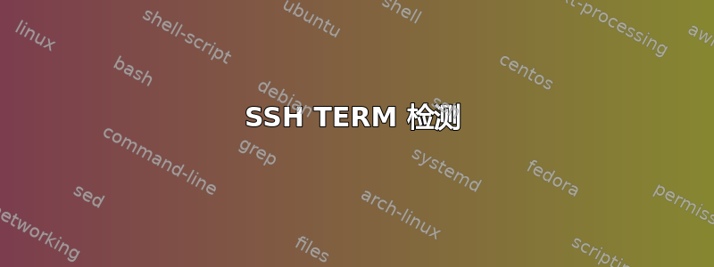 SSH TERM 检测