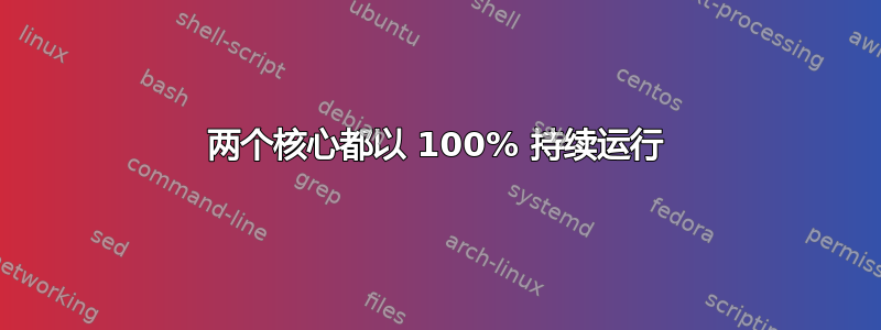 两个核心都以 100% 持续运行