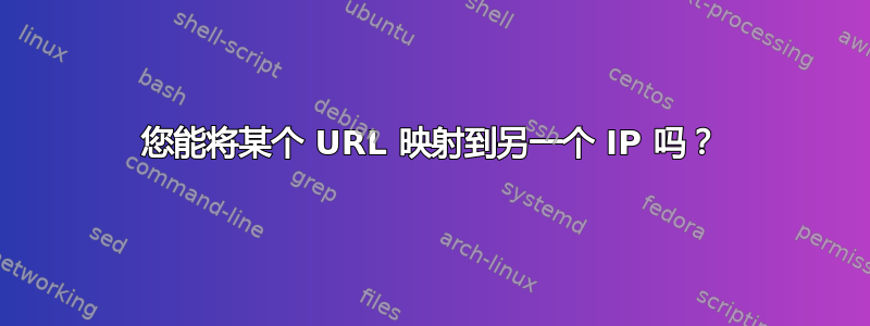 您能将某个 URL 映射到另一个 IP 吗？