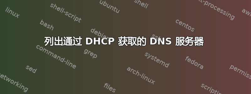 列出通过 DHCP 获取的 DNS 服务器