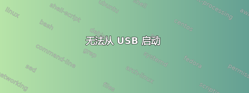 无法从 USB 启动