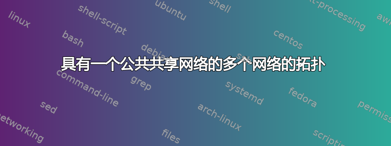 具有一个公共共享网络的多个网络的拓扑