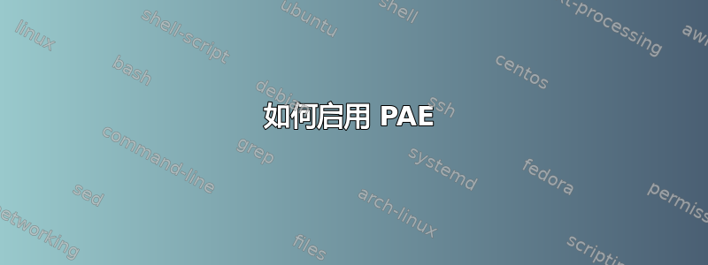 如何启用 PAE