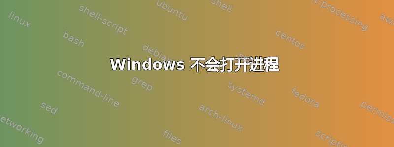 Windows 不会打开进程