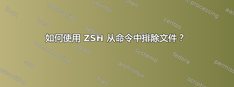 如何使用 ZSH 从命令中排除文件？