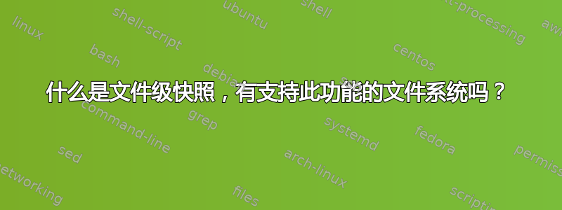 什么是文件级快照，有支持此功能的文件系统吗？