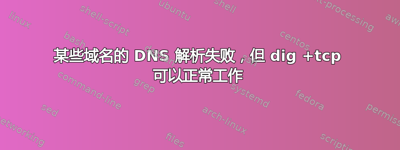 某些域名的 DNS 解析失败，但 dig +tcp 可以正常工作