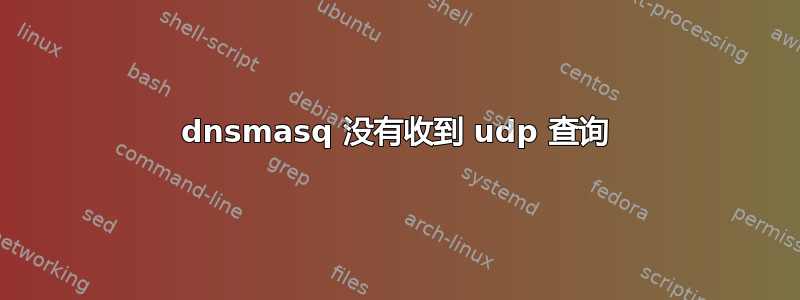 dnsmasq 没有收到 udp 查询