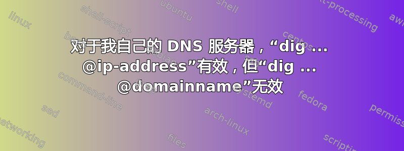 对于我自己的 DNS 服务器，“dig ... @ip-address”有效，但“dig ... @domainname”无效