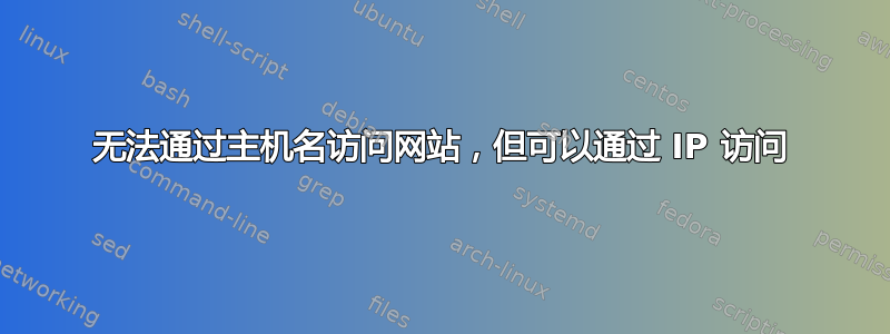 无法通过主机名访问网站，但可以通过 IP 访问