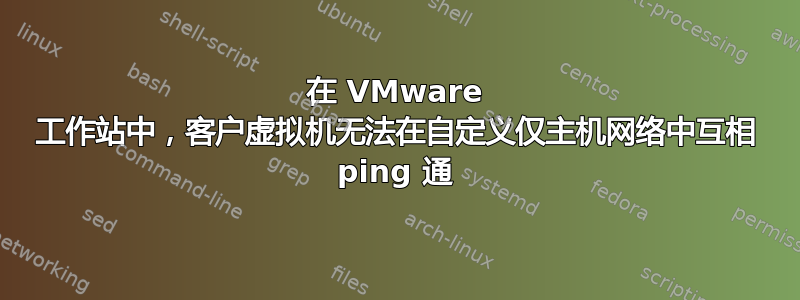 在 VMware 工作站中，客户虚拟机无法在自定义仅主机网络中互相 ping 通