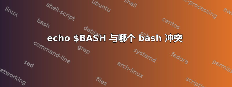 echo $BASH 与哪个 bash 冲突