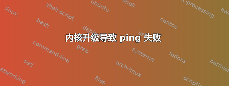 内核升级导致 ping 失败